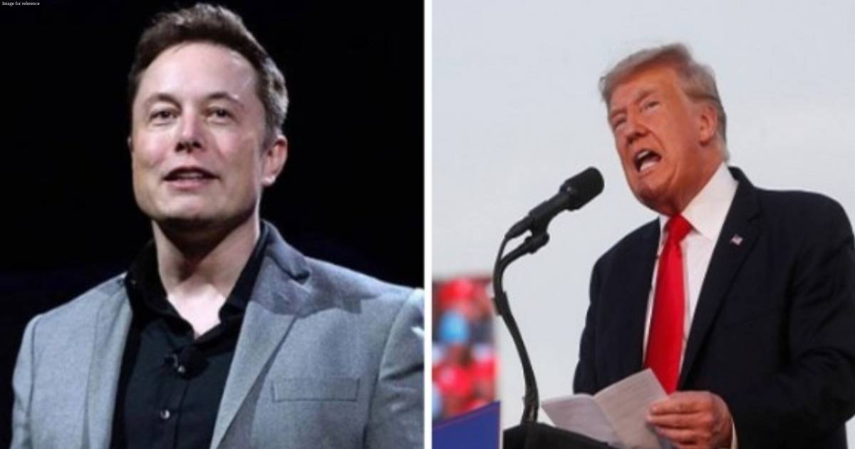 Musk reacts to Trump's comeback on X, says 'next level'